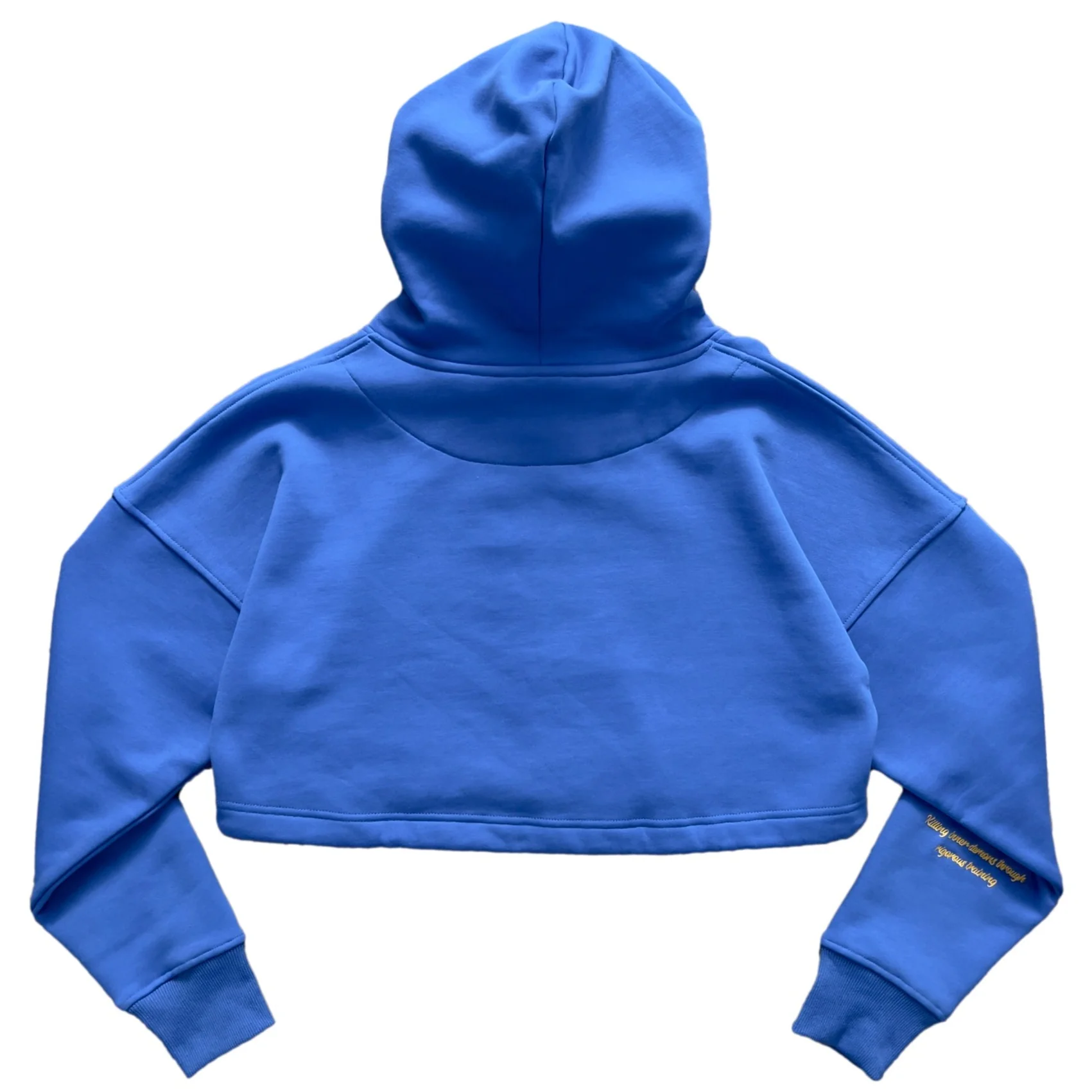 WOLF CROP HOODIE - BLUE - Image 3